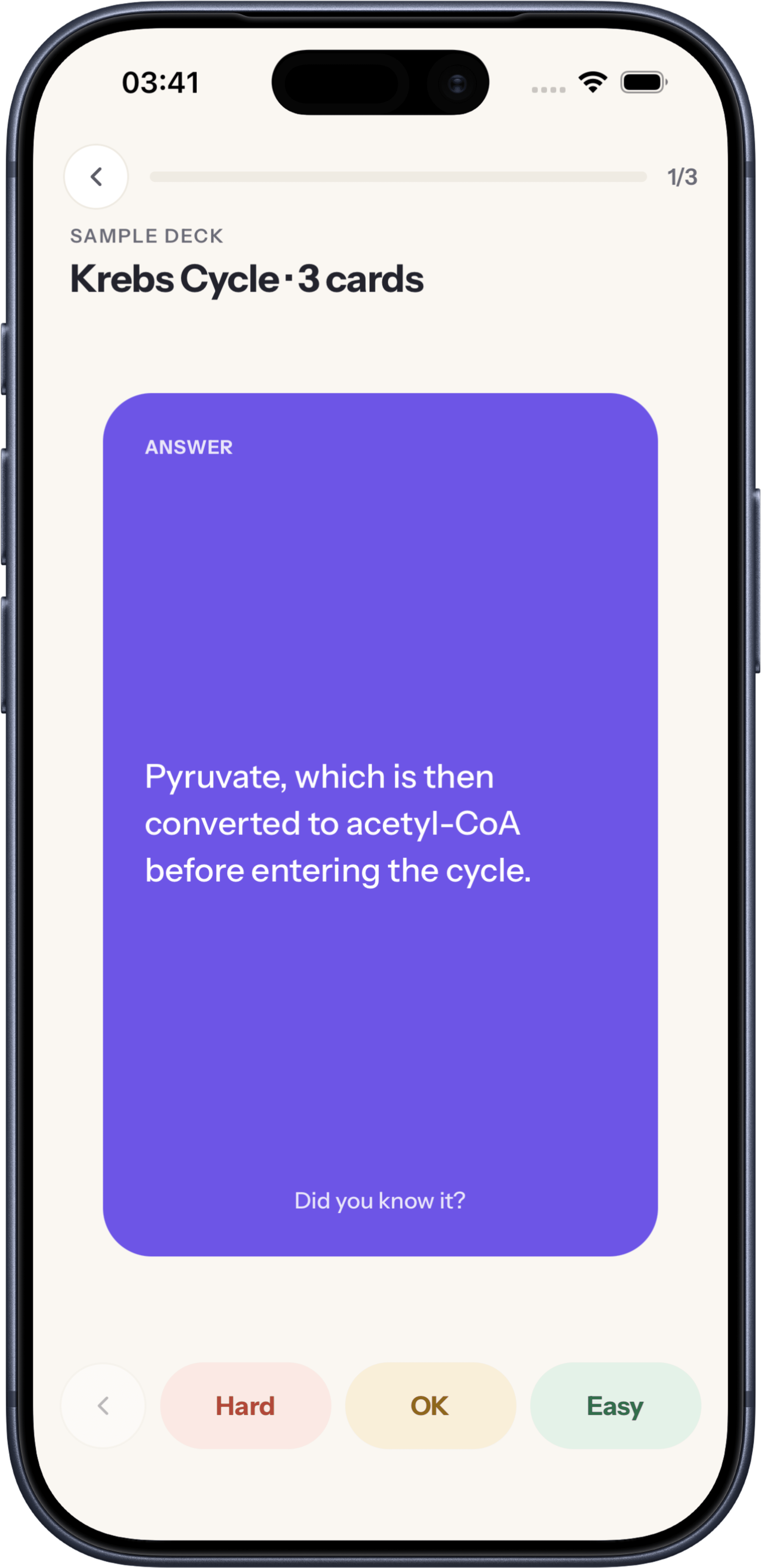 Flashcards created inside Zelmi